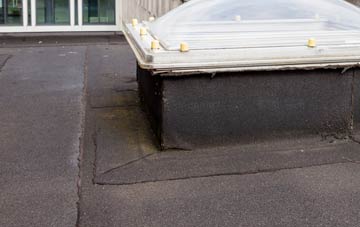 disadvantages of Elm Hill flat roofs