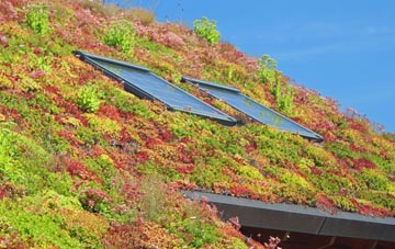Elm Hill living roof systems
