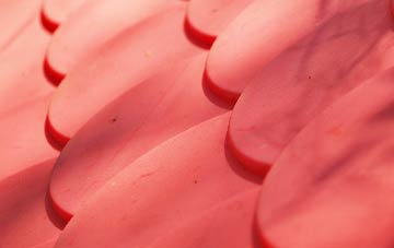 Elm Hill plastic roof costs